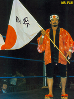 Mr. Fuji
