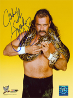 Jake Roberts