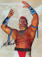 Tatanka